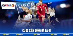 Cược Xiên Bóng Đá Là Gì Và Ăn Bao Nhiêu? Cập Nhật Tỷ Lệ 2026