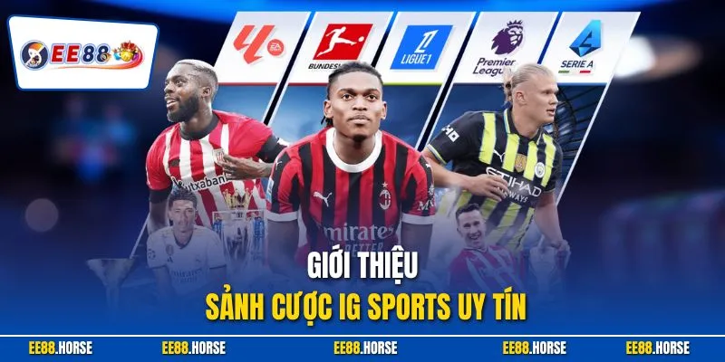 Giới thiệu sảnh cược IG sports uy tín